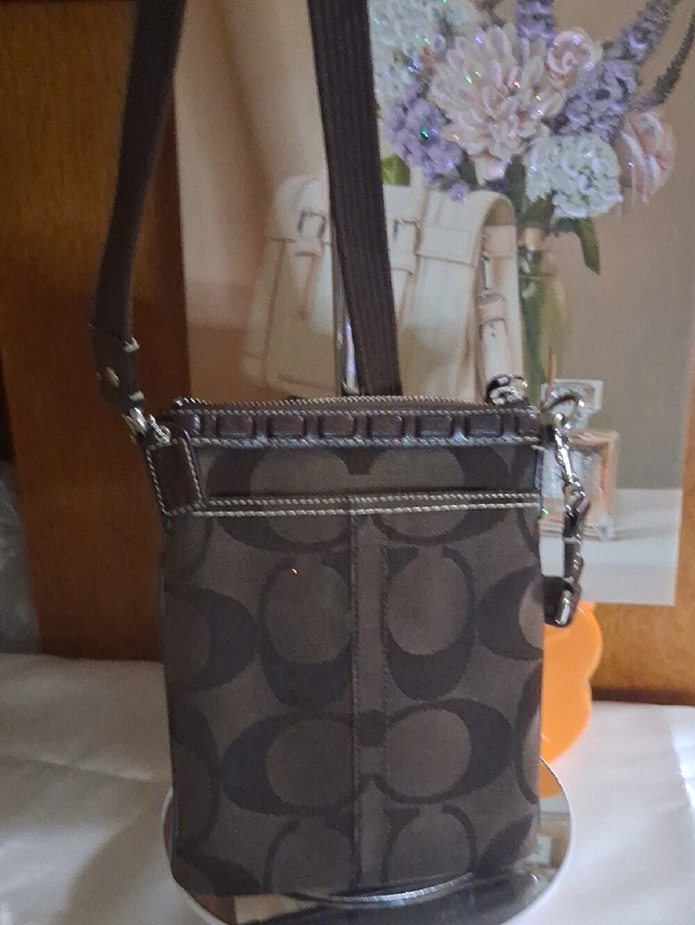 Coach Brown Crossbody with Snakeskin-Pattern Center Stripe - Picture 2 of 6